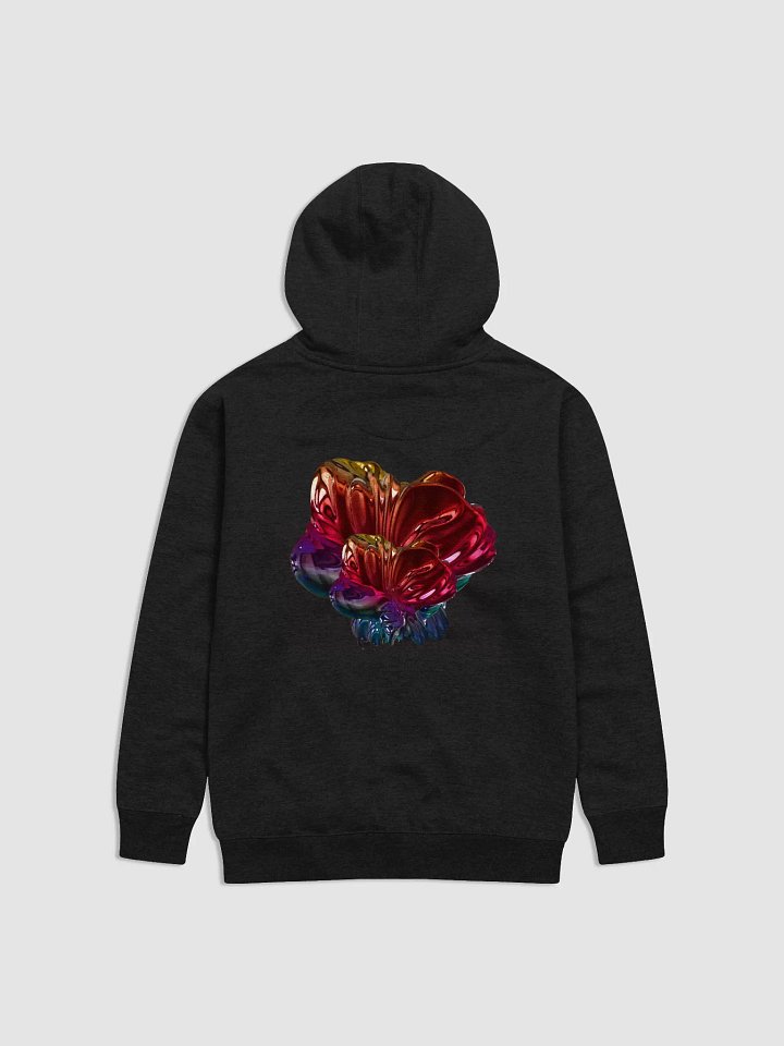 Magnetic Monopole Hoodie product image (2)