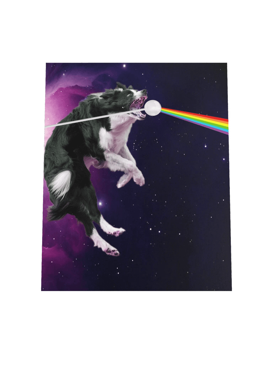Border Collie Dark Side Of The Cosmos Poster product image (4)