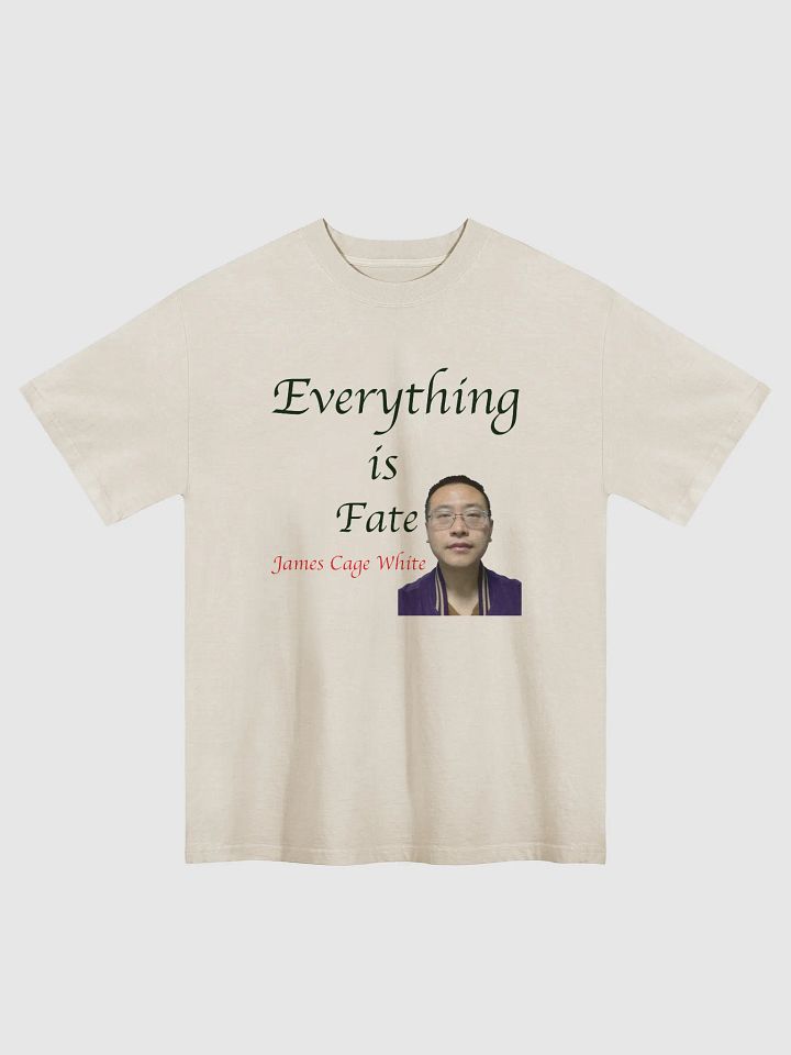AS Colour Premium Oversized Faded T-Shirt: fate product image (3)