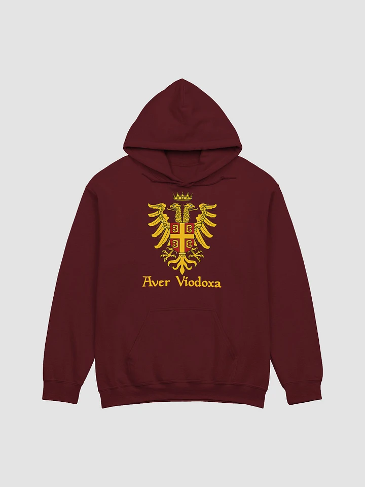 Aver Viodoxa Hoodie product image (18)