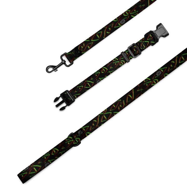 Always Watching 2.0 Pet collar and Leash product image (1)