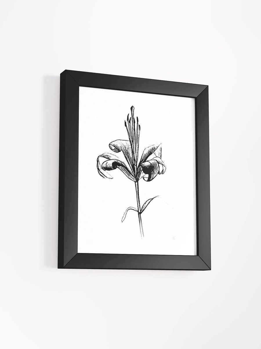 Elegant Lily Bloom Framed Poster - Fine Flower Light product image (12)
