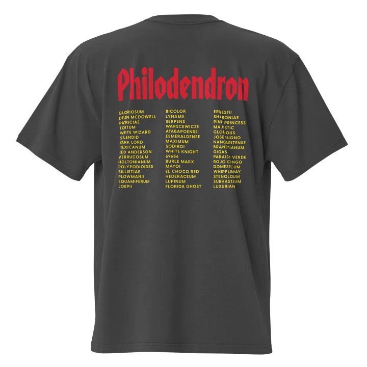 ⚡️ PHILODENDRON WORLD TOUR ⚡️ oversized tee product image (2)