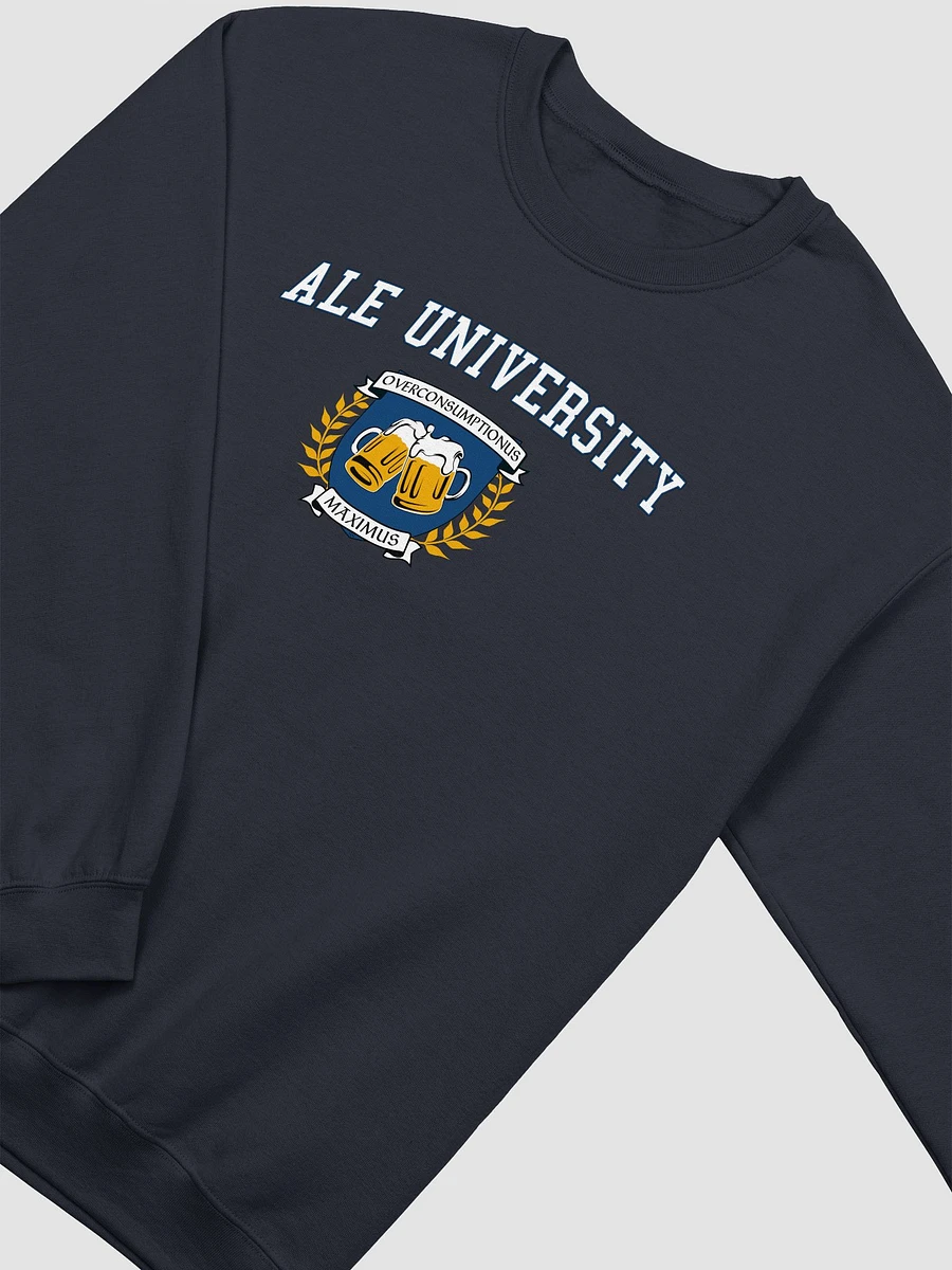Ale University Sweatshirt product image (11)