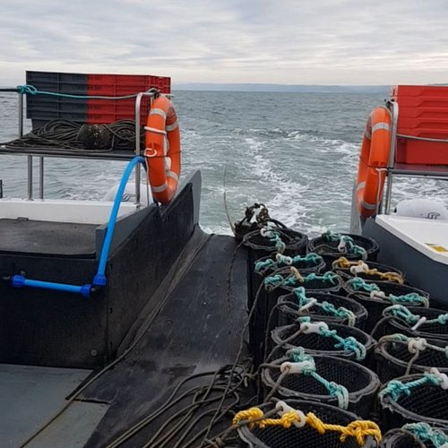 Sorry there's been no updates for a while, been busy changing over for the season and other things. All lobster pots are out ...