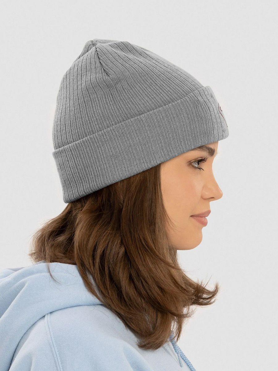 Hamline Acappella Hat 24-25 product image (8)