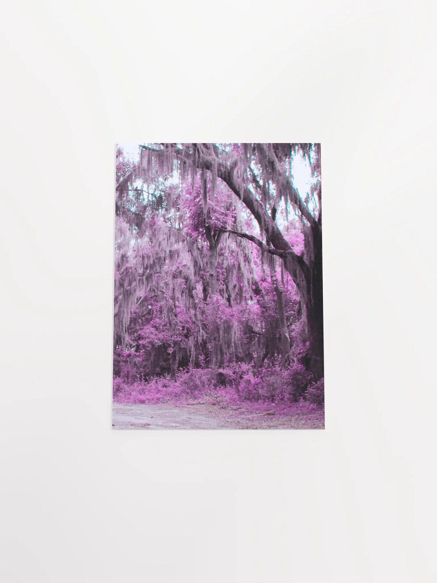 Rain Petrified by an Artist product image (37)