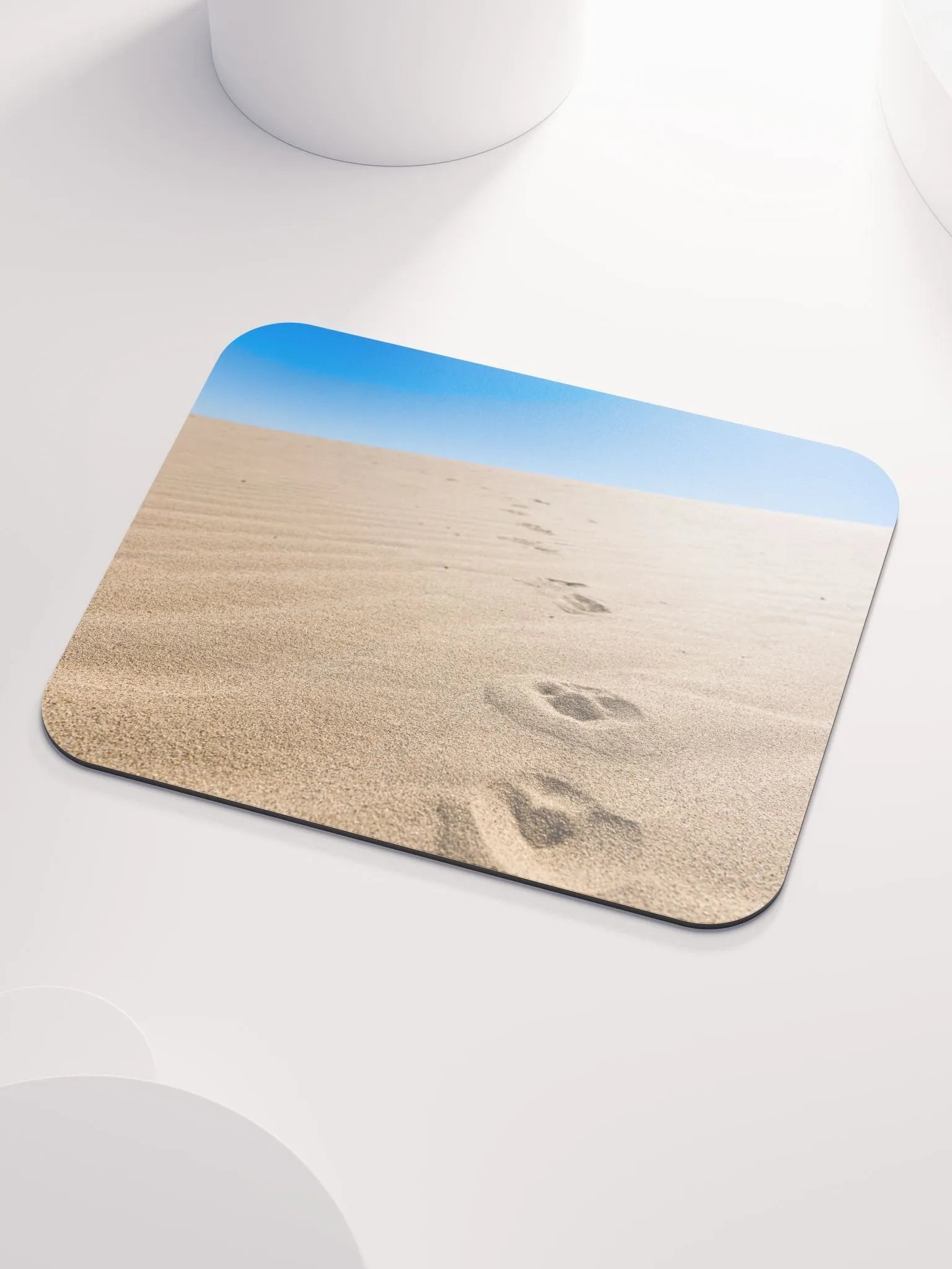 Salton Sea Coyote product image (3)