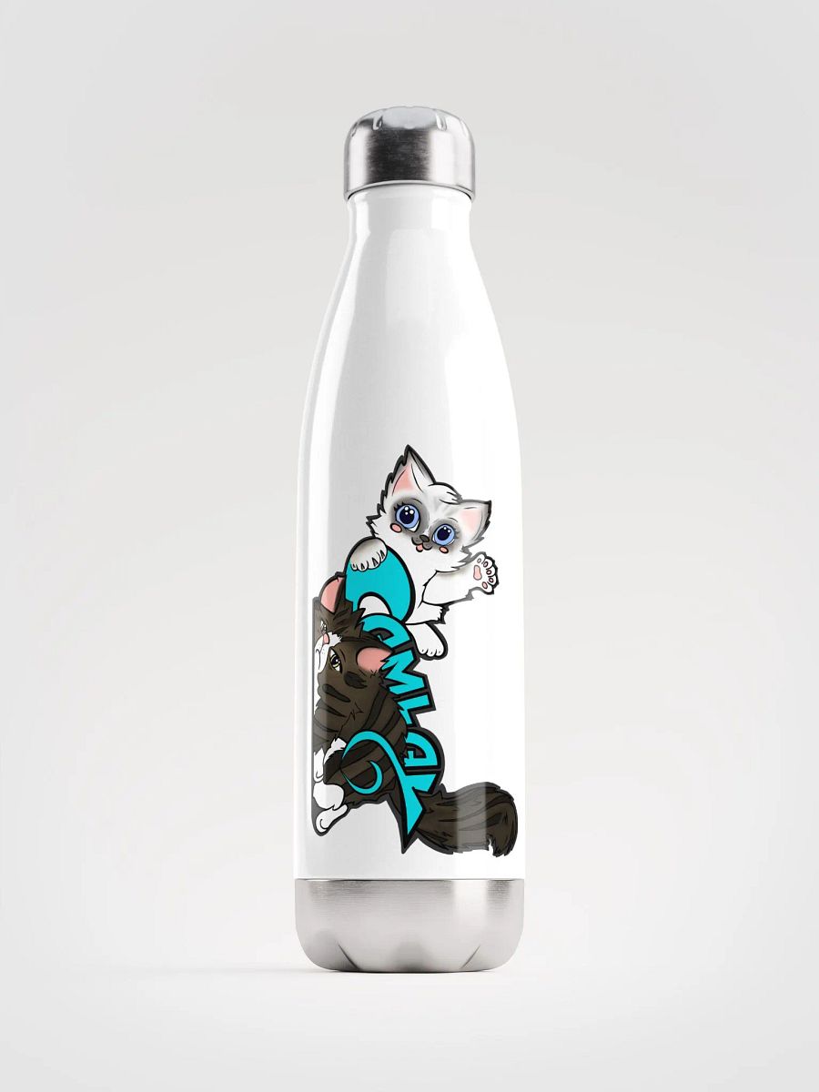 Stainless Steel Water Bottle product image (6)
