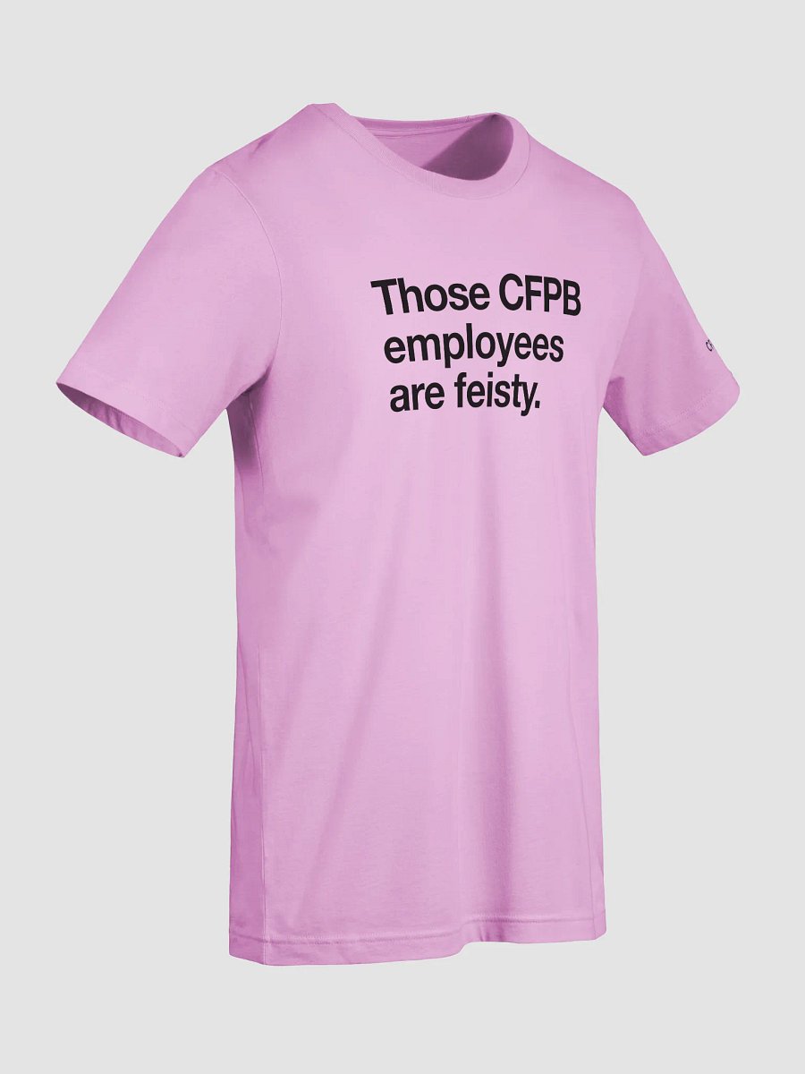 Those CFPB Employees are Feisty (Black) product image (7)