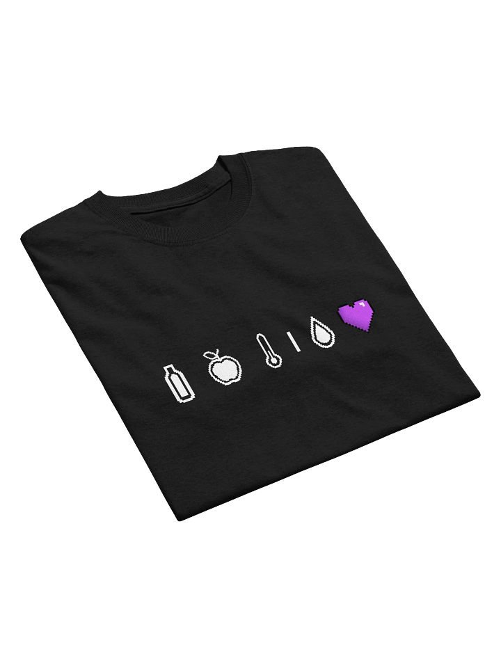 HollyRex DayZ Icons Heavyweight Tee product image (1)
