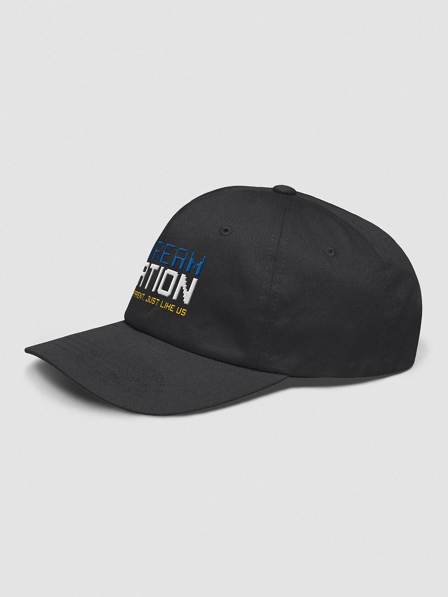 StreamNation Charity Dad Cap product image (3)