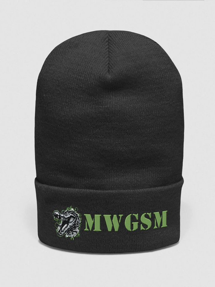 Beanie product image (1)