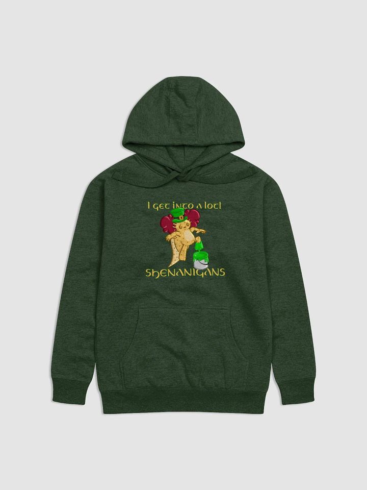 I Get Into a Lotl Shenanigans Hoodie product image (1)
