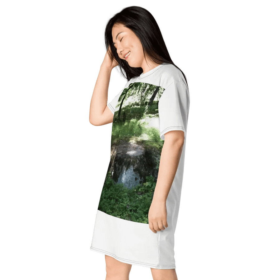 Rimas Zeimys dress product image (3)