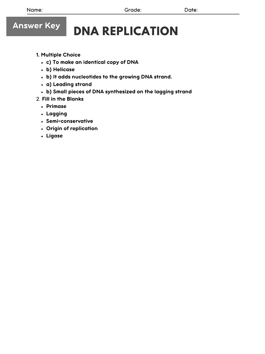 Biology DNA Replication Worksheet - Printable PDF with Answer Key product image (2)