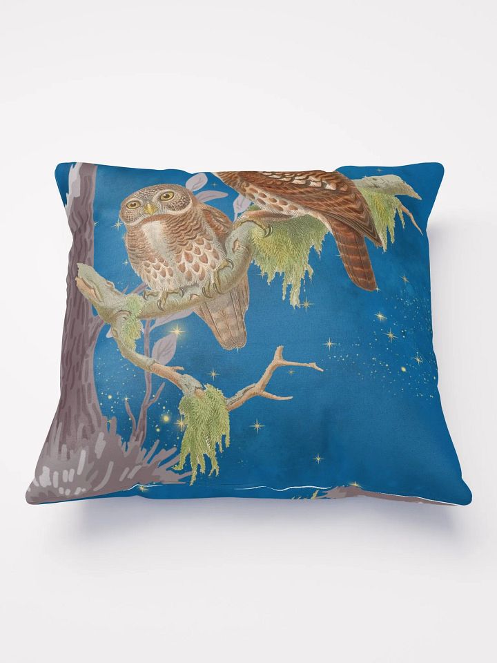 Night Owls product image (2)