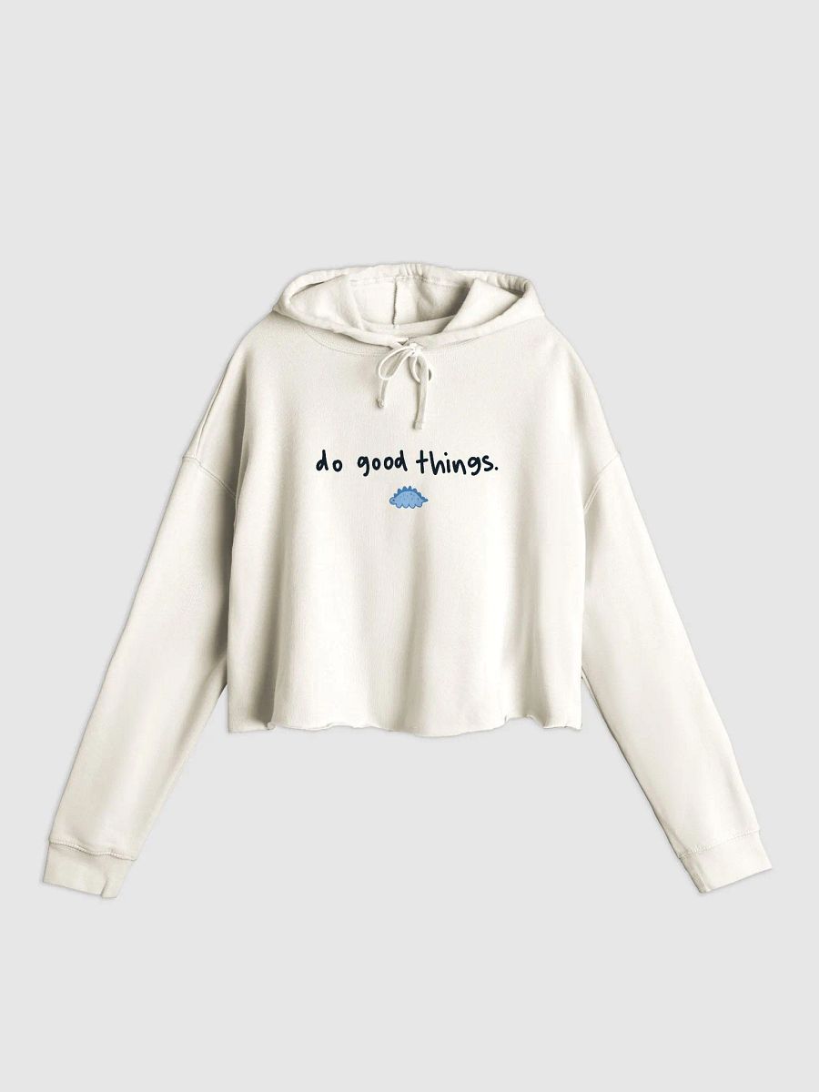 the minimalist product image (1)