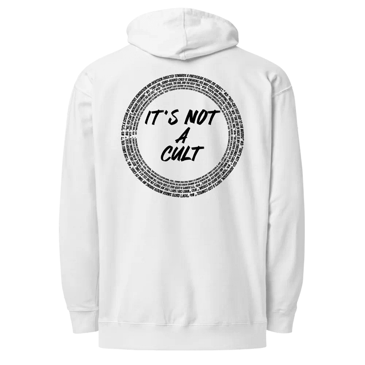 Not-Cult Embroidered Hoodie (LIGHT) product image (2)