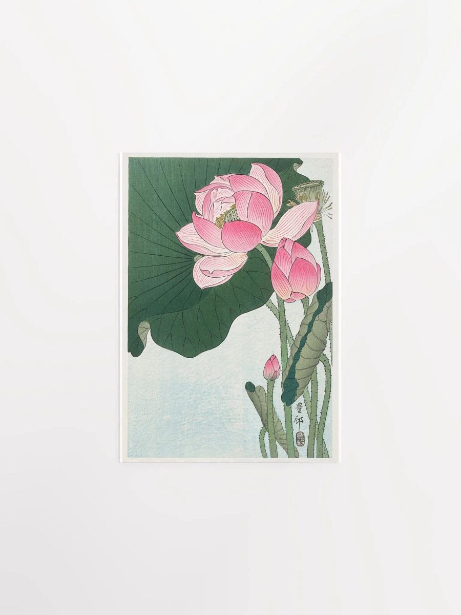 Blooming Lotus Flowers by Ohara Koson product image (1)