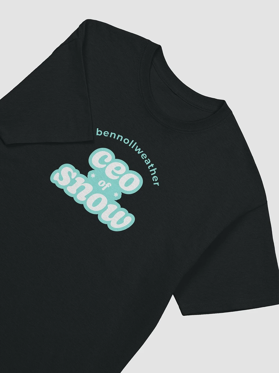 CEO of snow t-shirt - mint logo product image (9)