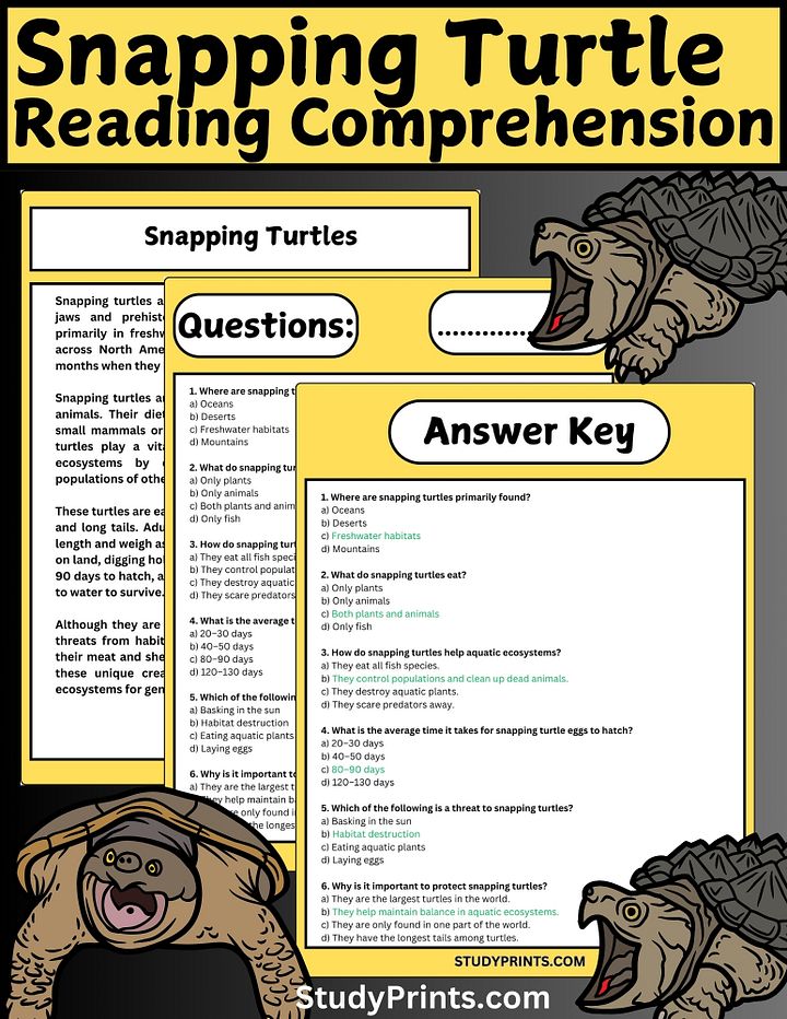 Snapping Turtle Reading Comprehension Passage with Questions product image (1)
