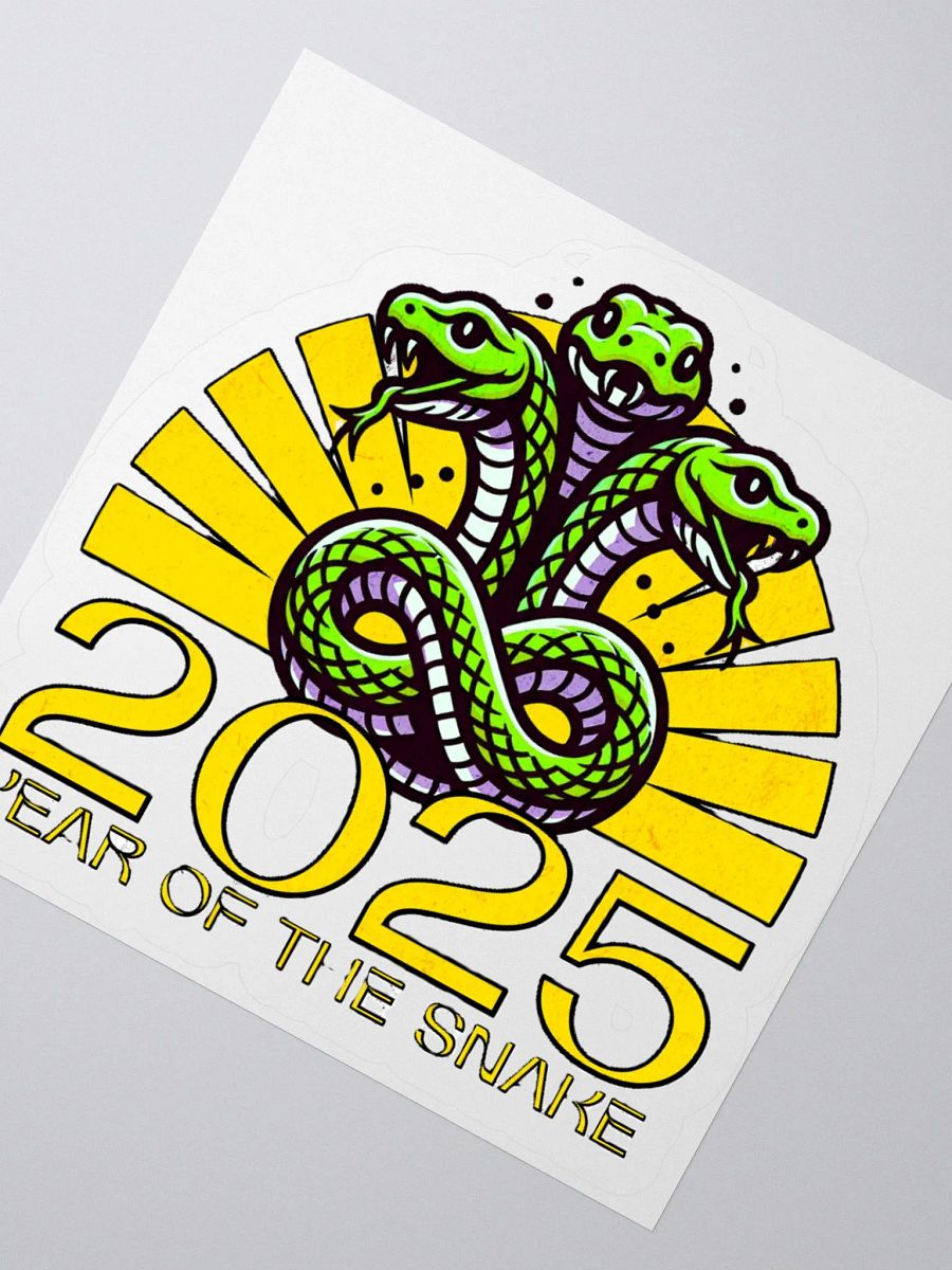 2025 YEAR OF THE SNAKE product image (6)