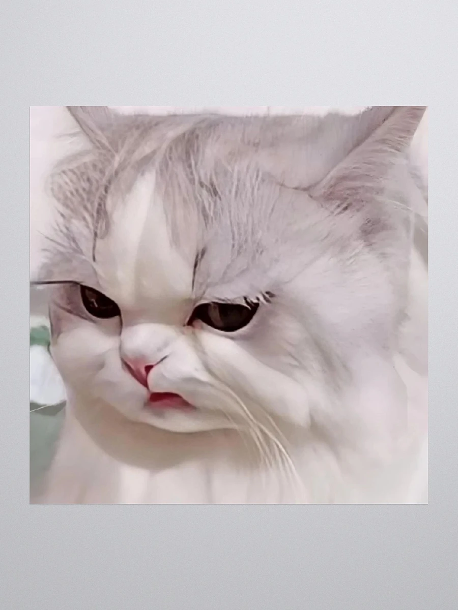 Kiss Cut Stickers: Meme Cats disappointed product image (1)