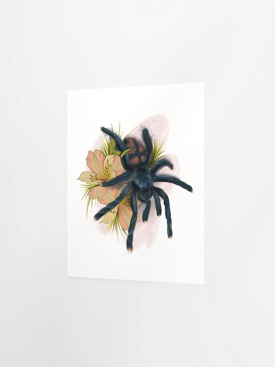Avicularia avicularia product image (3)