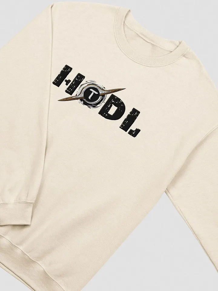 (6/15) BLACK HODL product image (1)
