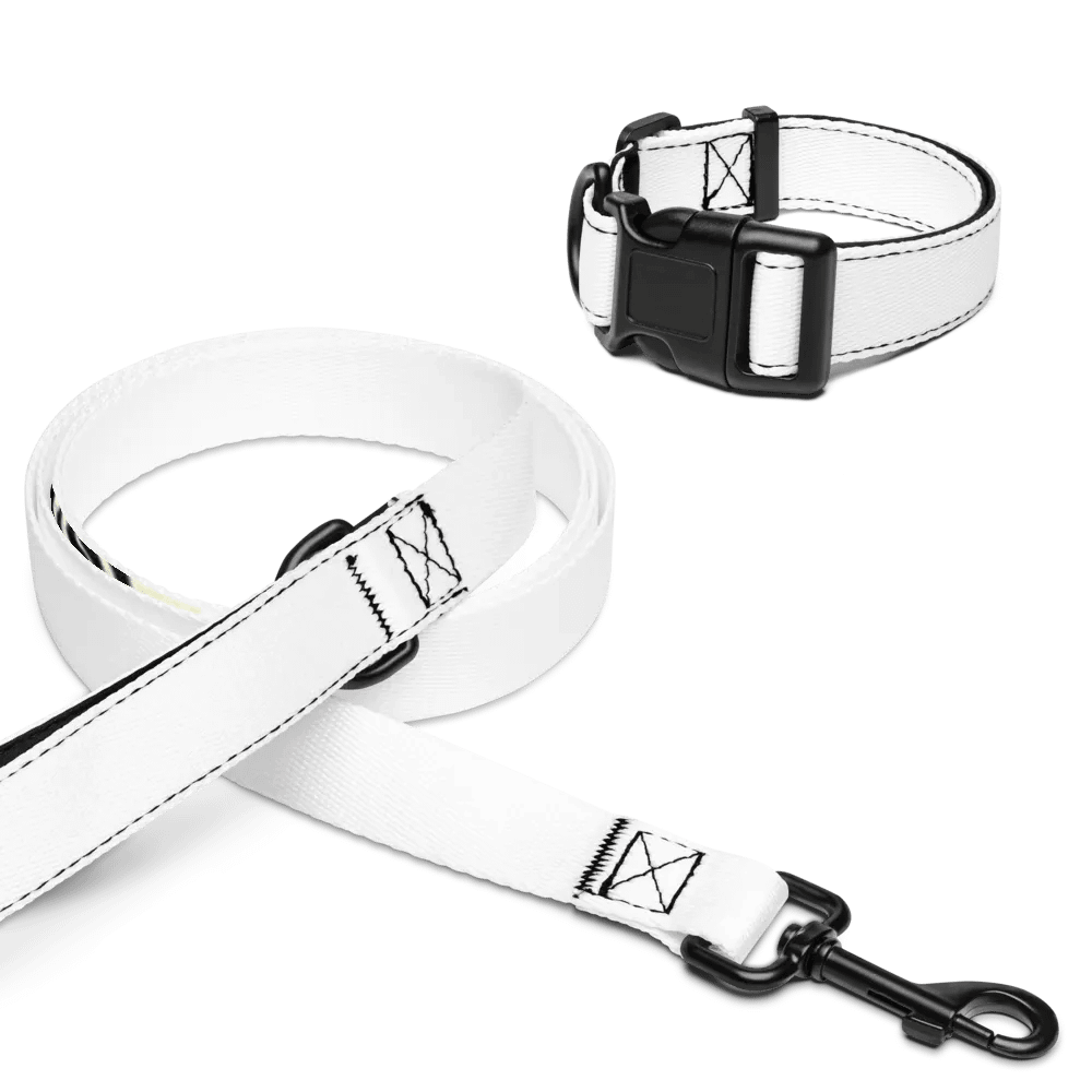 Honey (Pet Collar & Leash) product image (1)