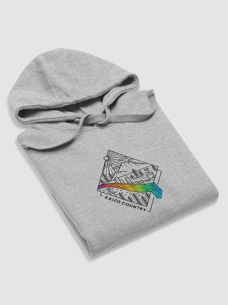 Pride Country - unisex hoodie product image (14)