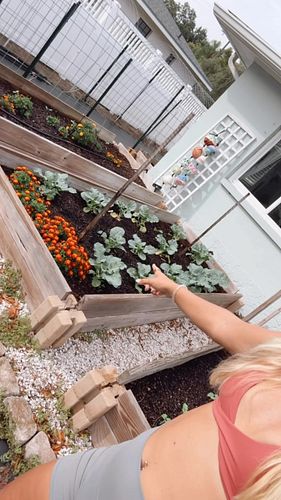 This is what I’m growing in my fall garden! 🌱 not mentioned are Barbados cherries, mulberries, figs, papaya, & bananas but I ...