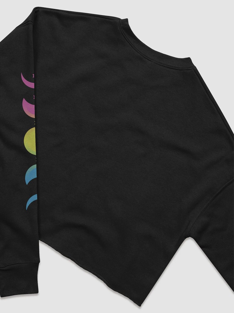 Phasing Through the Moon Pansexual Crop Sweatshirt product image (4)