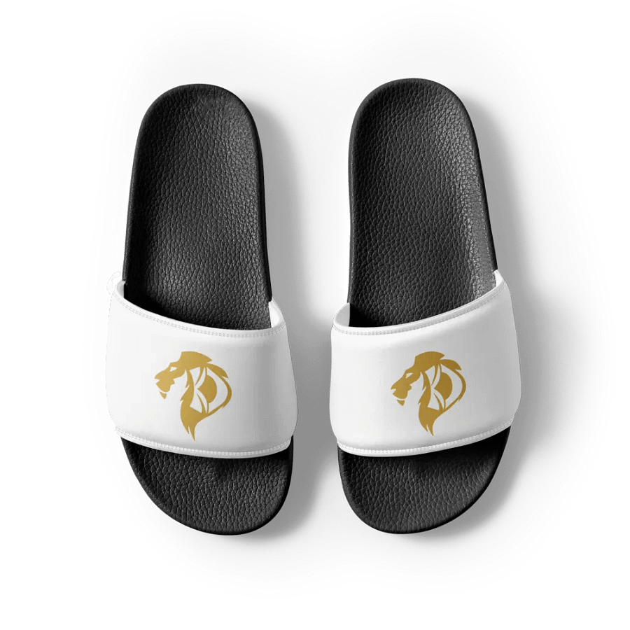 KD Hill Slides product image (8)
