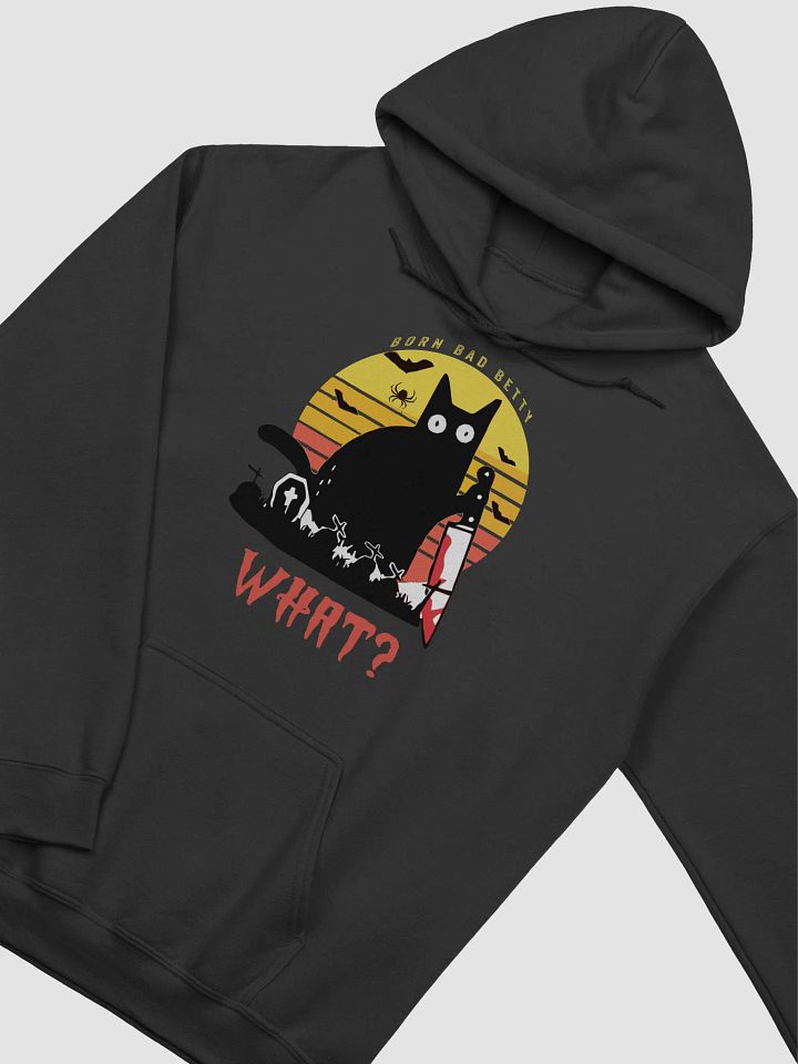 Midnight Mischief cat women's Hoodie product image (2)