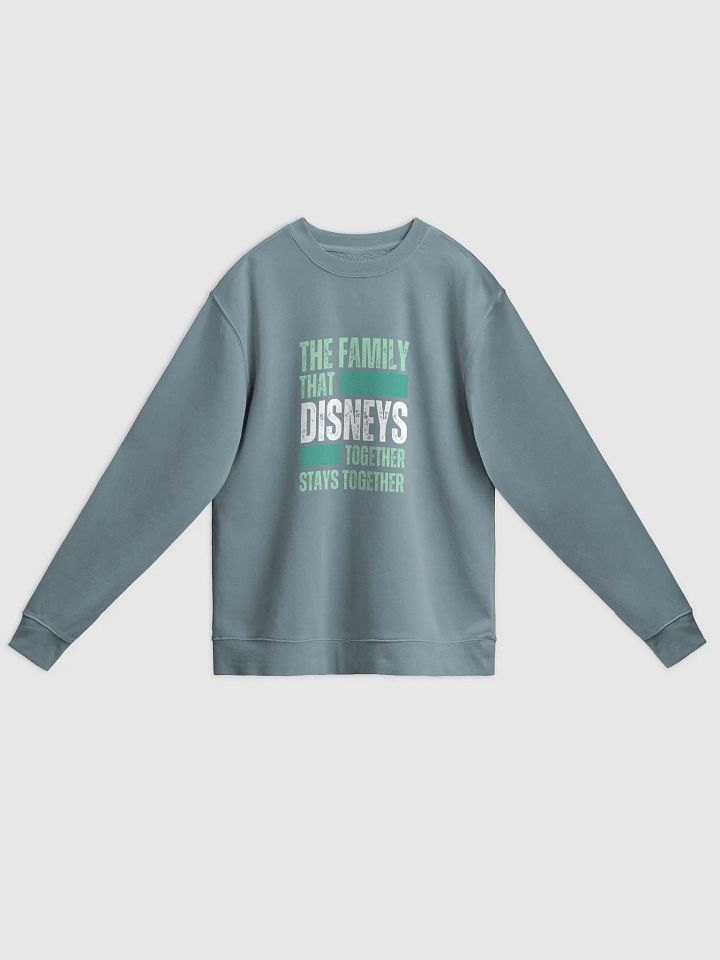 Disney World Family Midweight Pigment Dyed Sweatshirt product image (1)