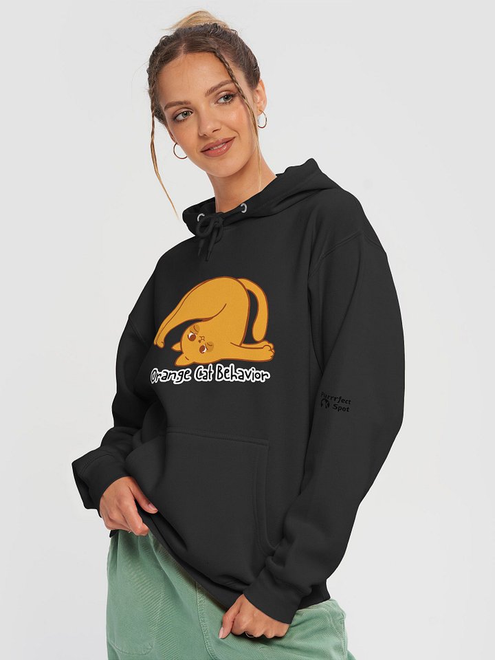 Orange Cat Behavior Hoodie product image (1)