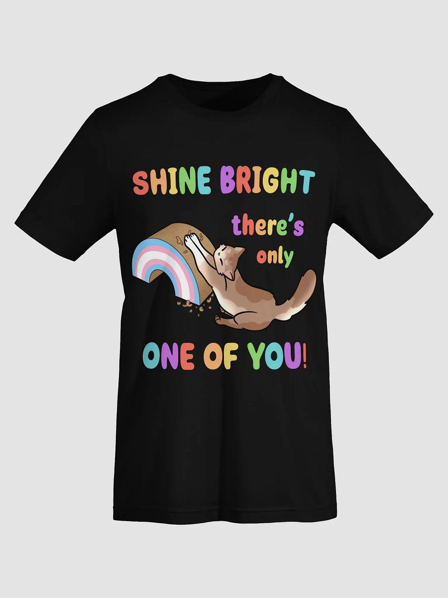 Shine Bright Trans Pride Shirt product image (68)