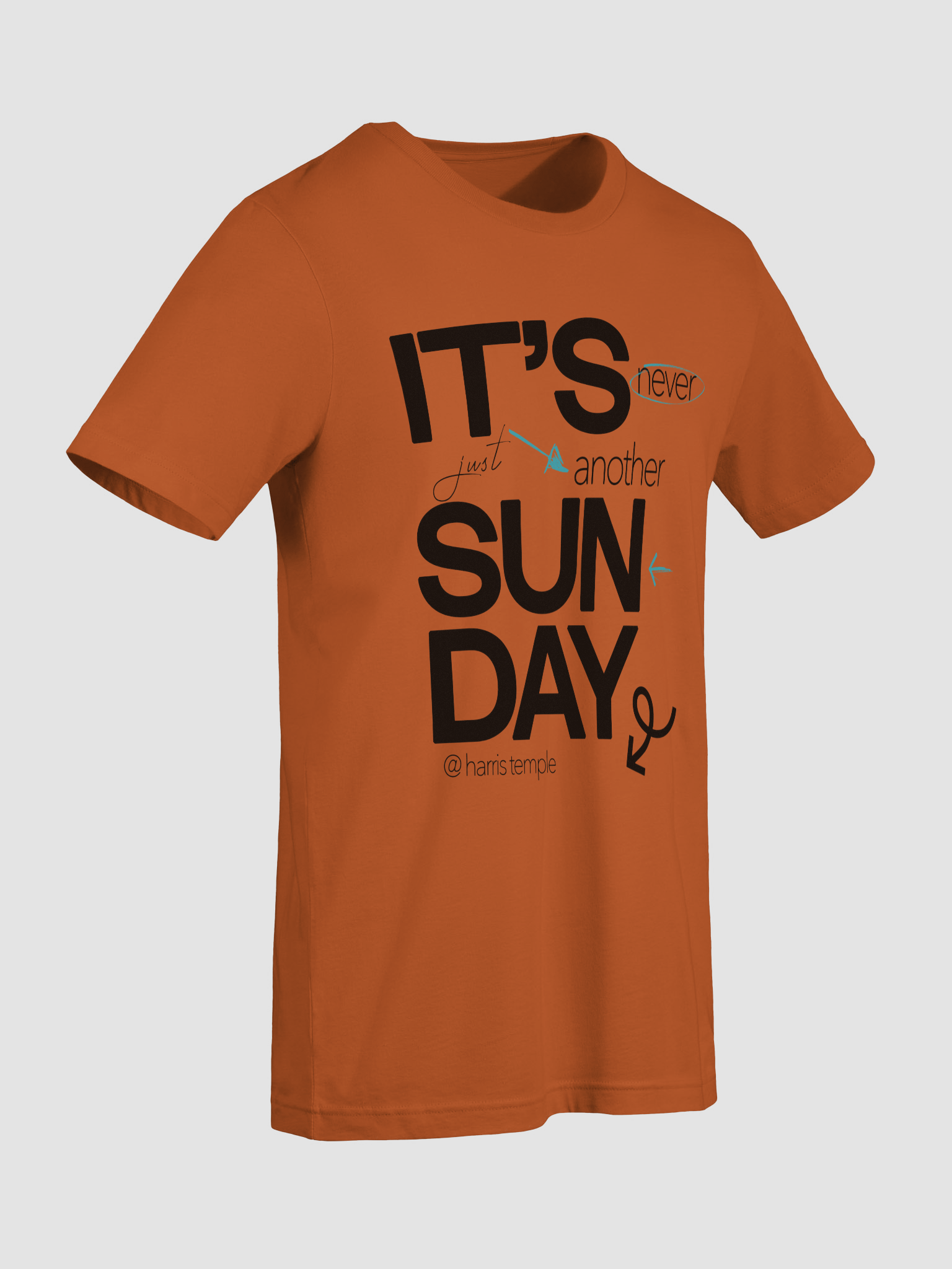 Elevate Your Style with Temple Merch Highlight T-Shirt product image (35)