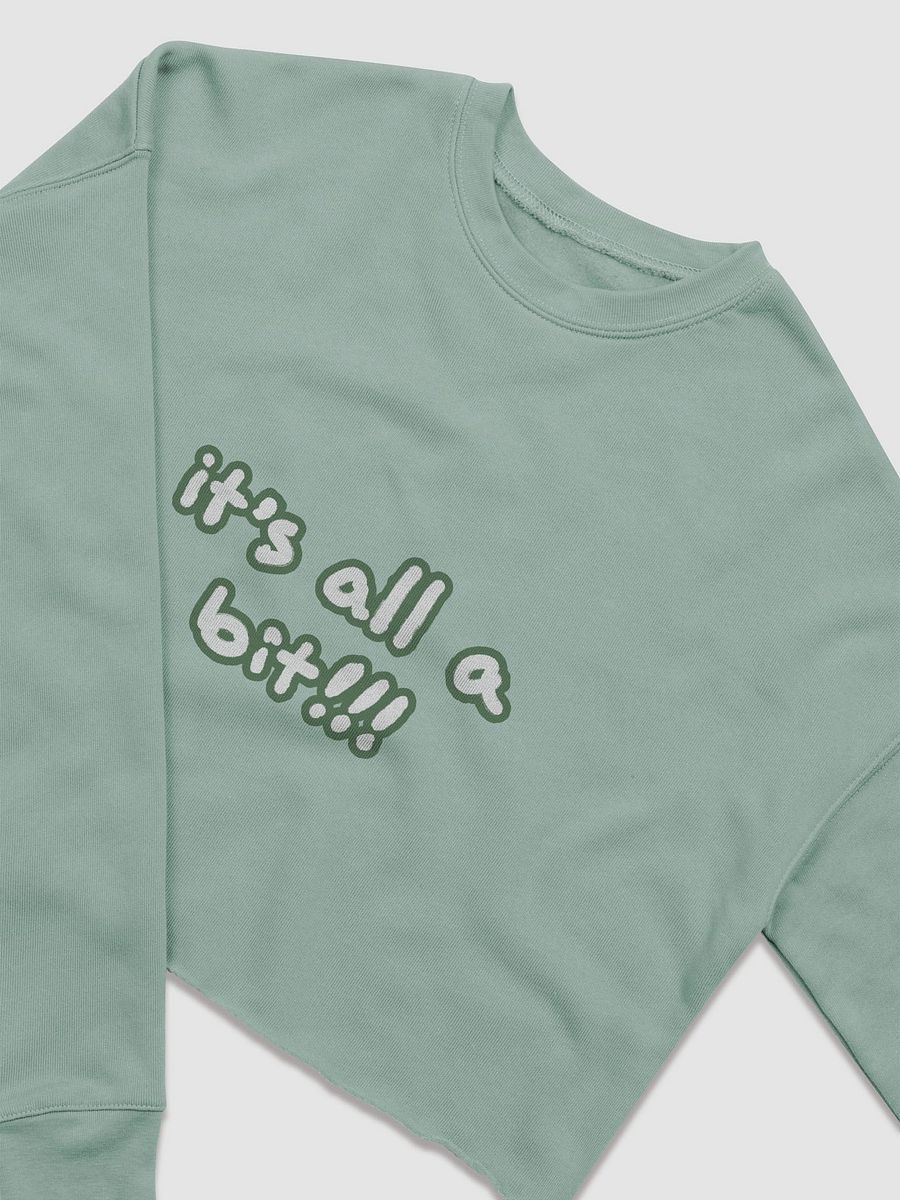 “It’s all a bit!!!” (sm. lined design, #527453) Women's Fleece Crop Sweatshirt product image (9)