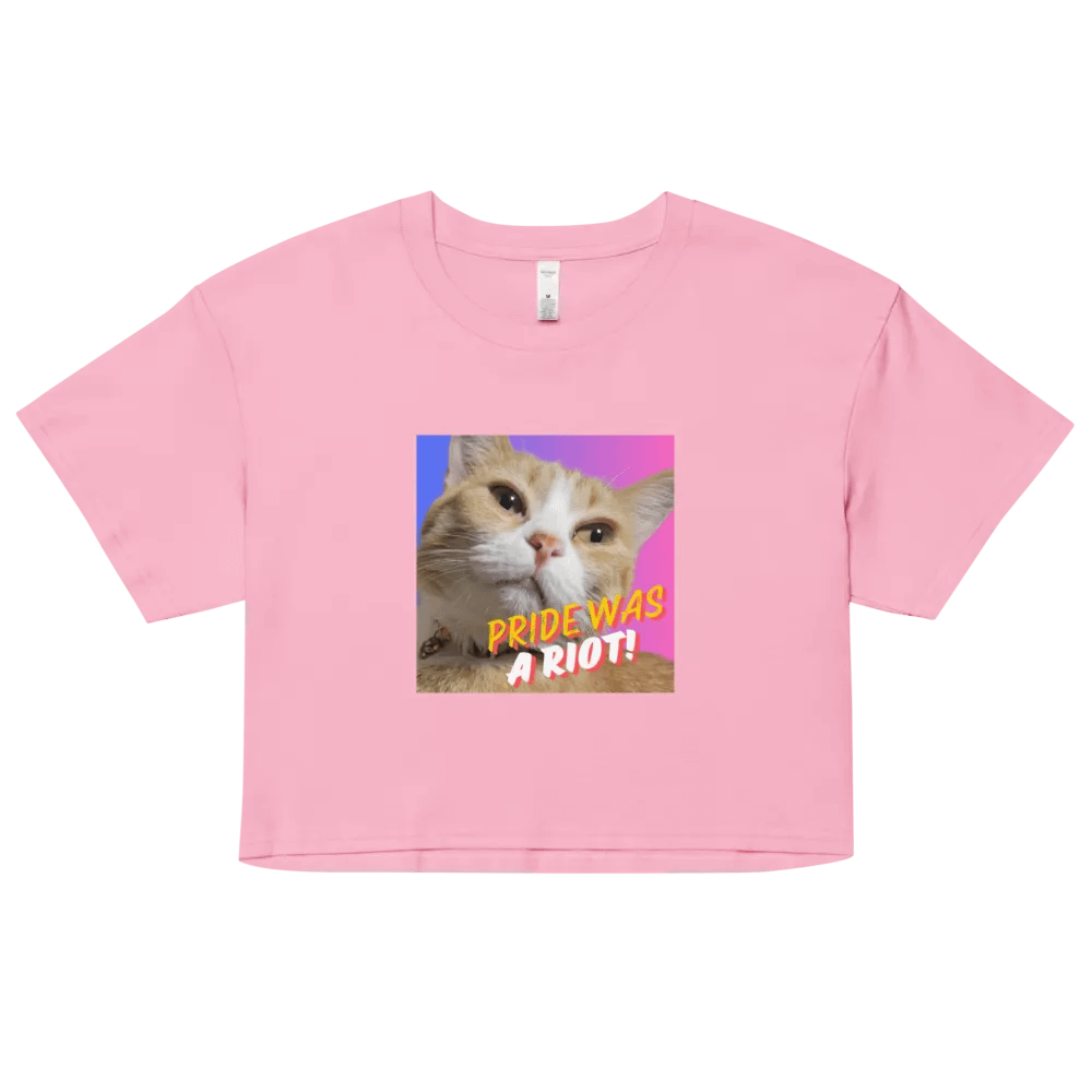 Moxie Bi-Pride Crop Top Tee product image (44)