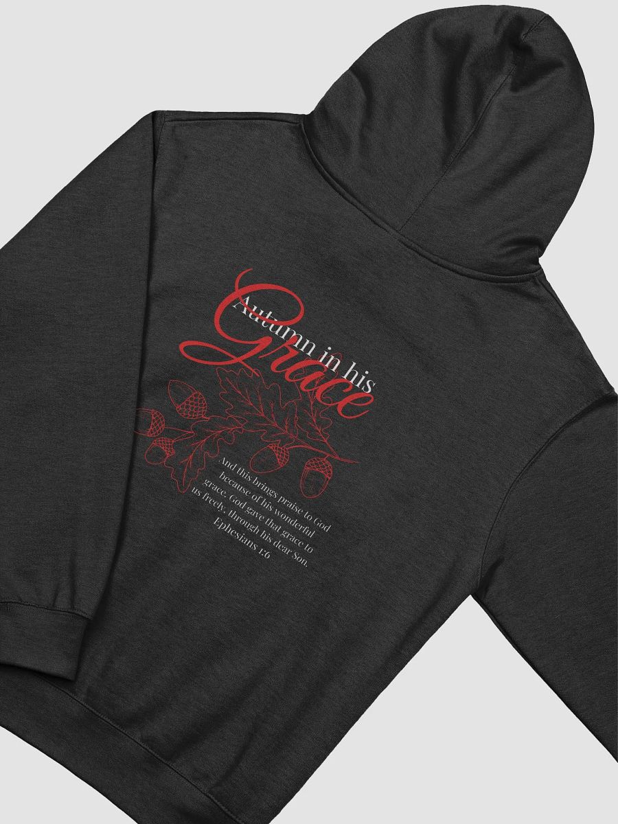 Ephesians 1:6 Hoodie product image (1)