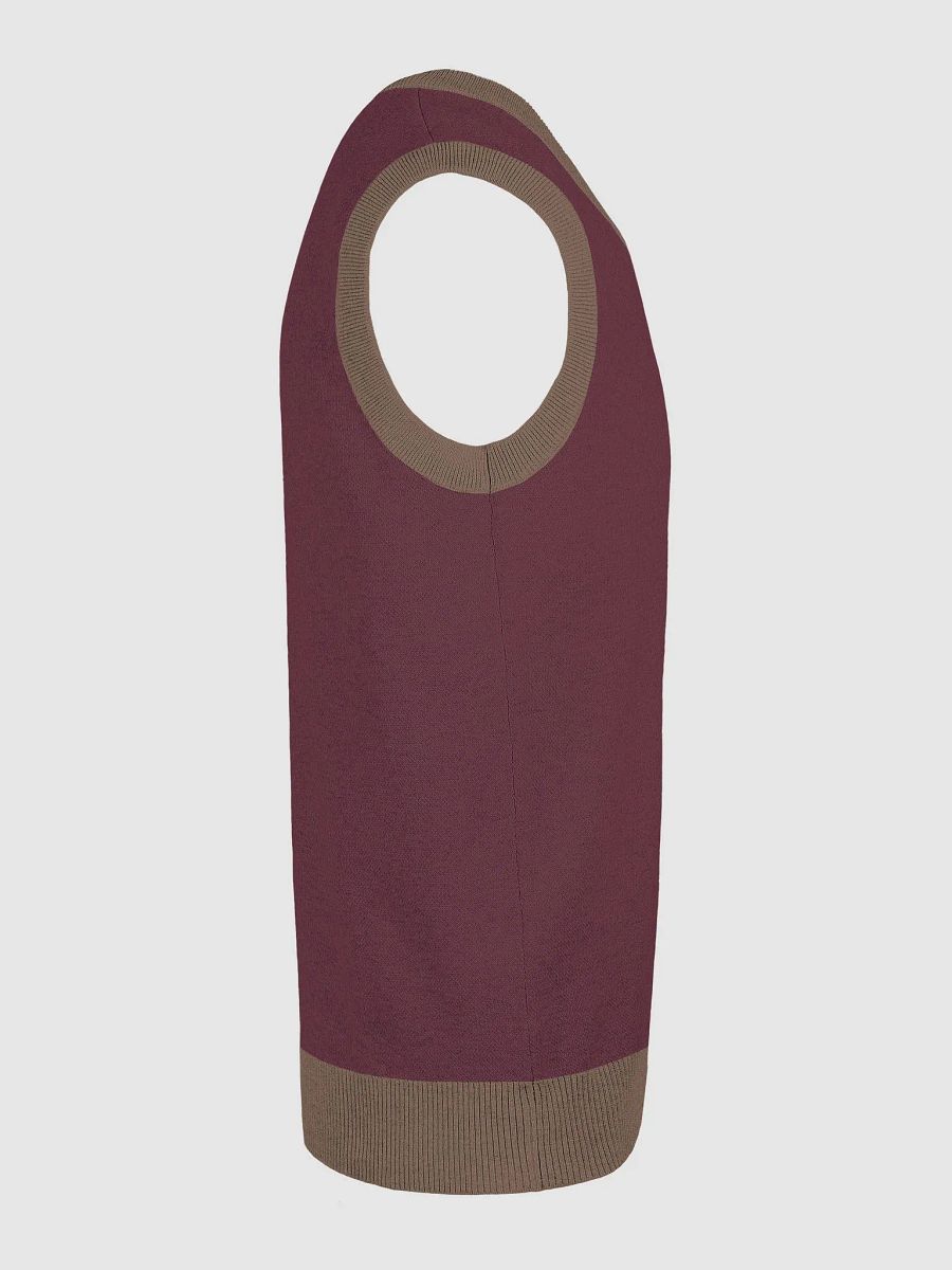 Cozy Jacquard V-Neck Vest product image (5)