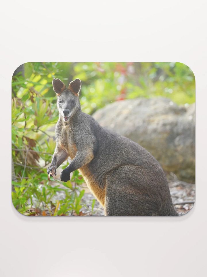 Kangaroo on a Mouse Pad product image (2)