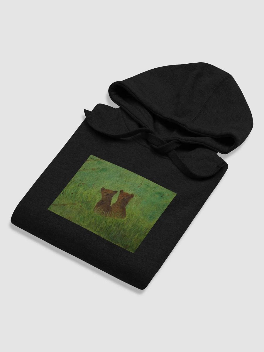 2 Bears Hoodie product image (36)