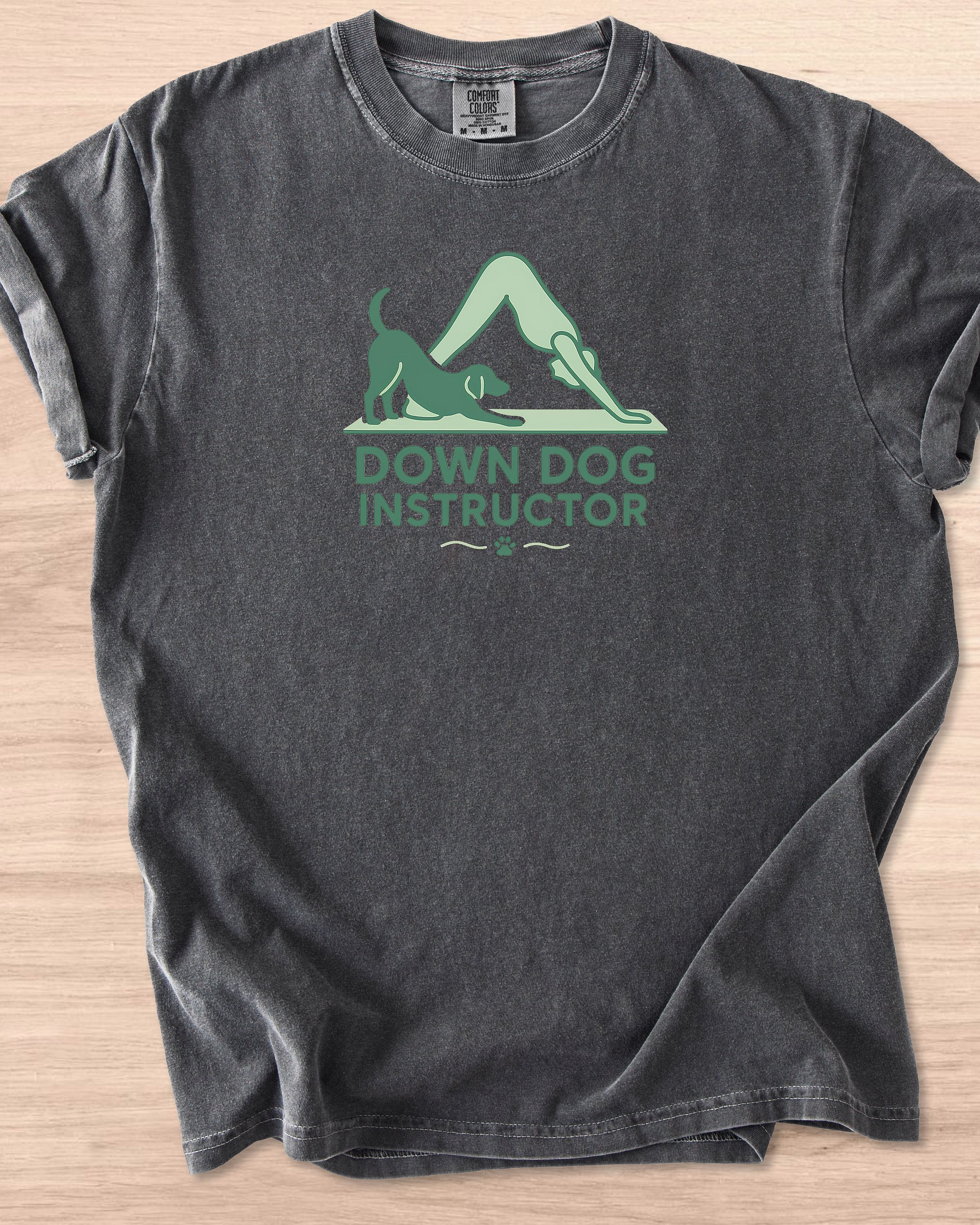 Down Dog Instructor Tee product image (29)