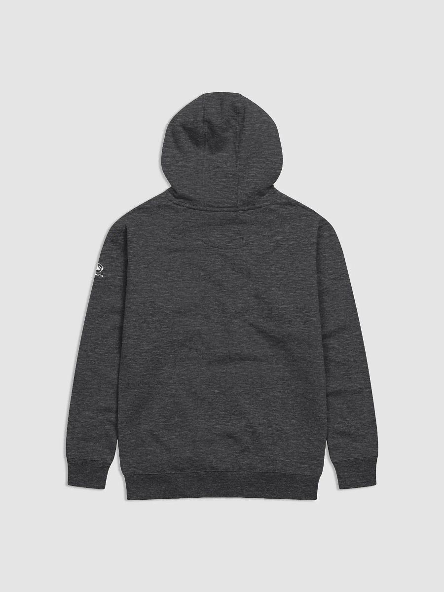 Catlates 100 Hoodie product image (2)