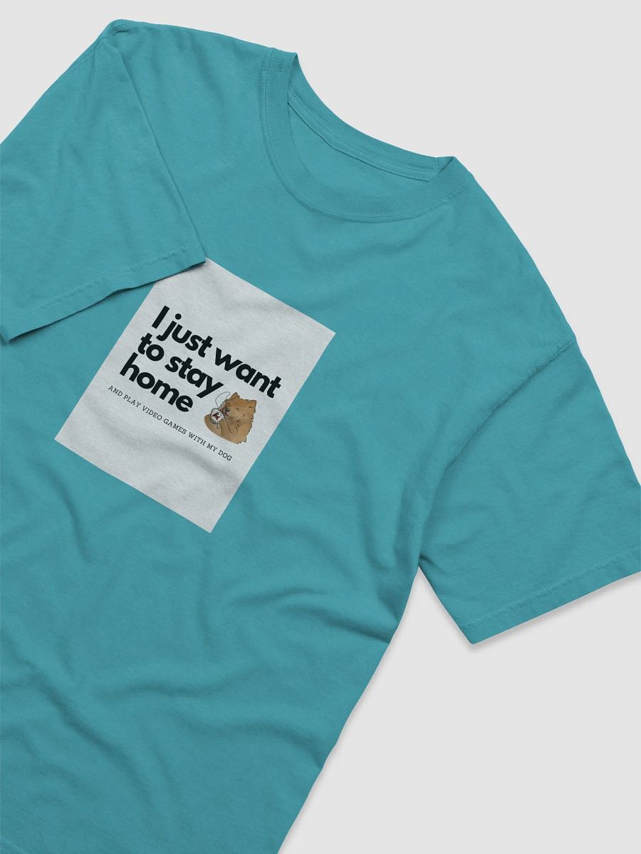 Just Want to Stay Home product image (3)