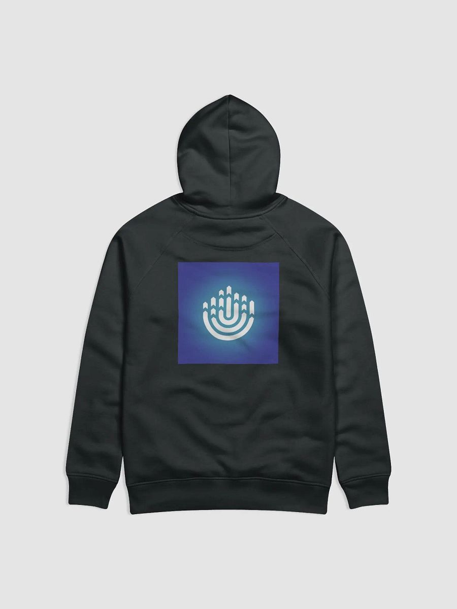 BBYO Hoodie product image (2)